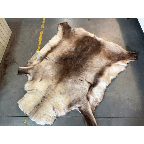 Lot 67        