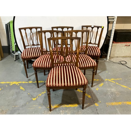 Lot 278       