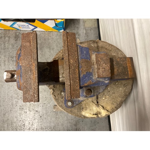 192 - LARGE VICE ON LOG