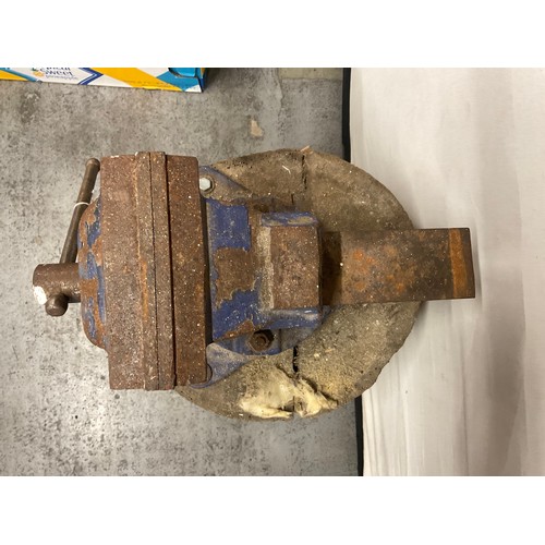 192 - LARGE VICE ON LOG