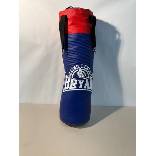 149 - BRYANT PUNCH BAG H36