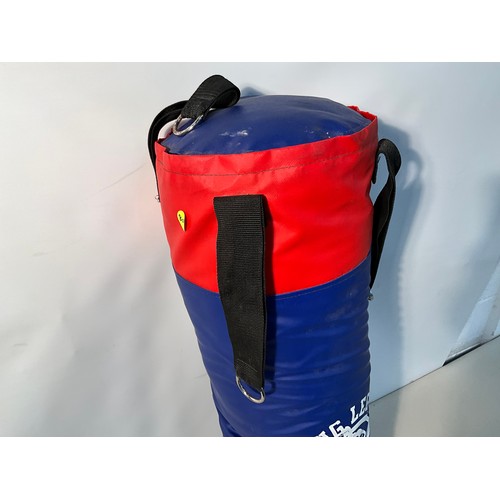 149 - BRYANT PUNCH BAG H36