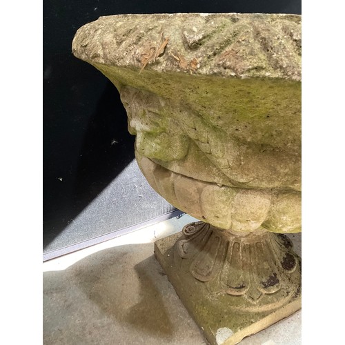 227 - PAIR OF LARGE WEATHERED CONCRETE GARDEN PEDASTEL URNS WITH LION MASK DECORATION H24