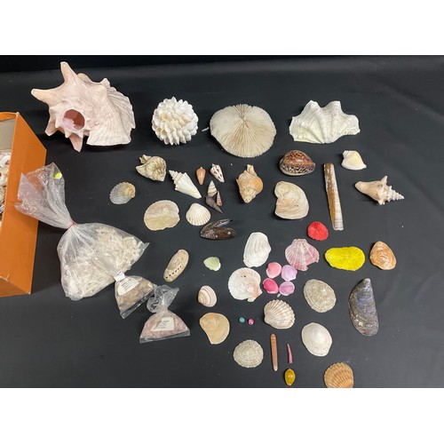 44 - BOX OF SHELLS AND ROCKS ETC