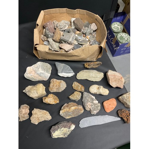 44 - BOX OF SHELLS AND ROCKS ETC