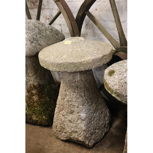 509 - Granite mushroom