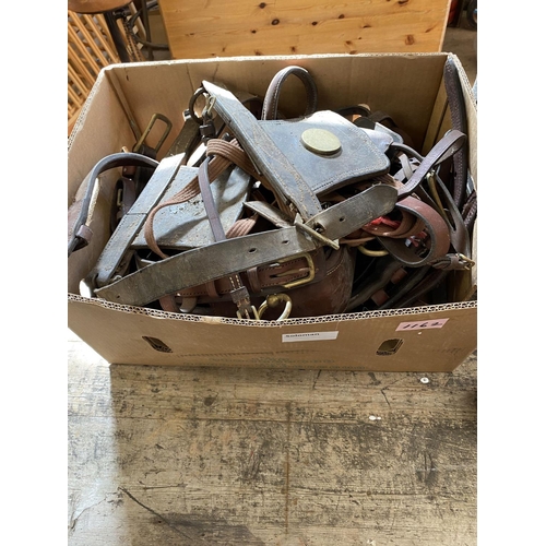 1162 - Box of sadlery