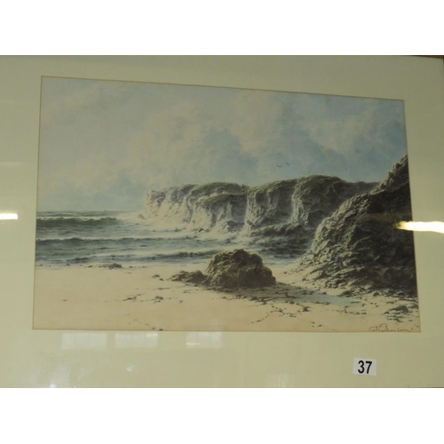 37 - Indistinctly signed watercolour Rocky Shore line