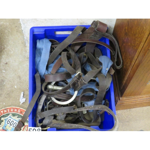 598 - Box bridle etc