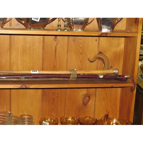 649 - Bundle walking sticks