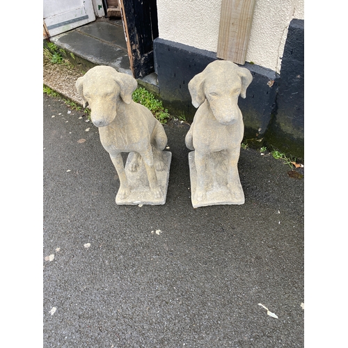 483 - Pair reconstituted stone Labradors