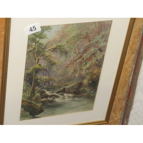 45 - Attributed to C Dyer unsigned watercolour woodland stream 9