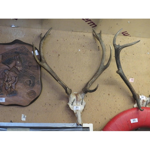 53 - Pair antlers-10 points