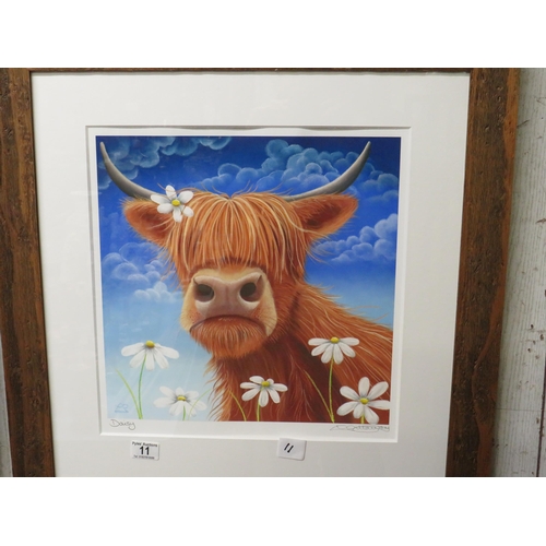 11 - Ltd edition print highland cow