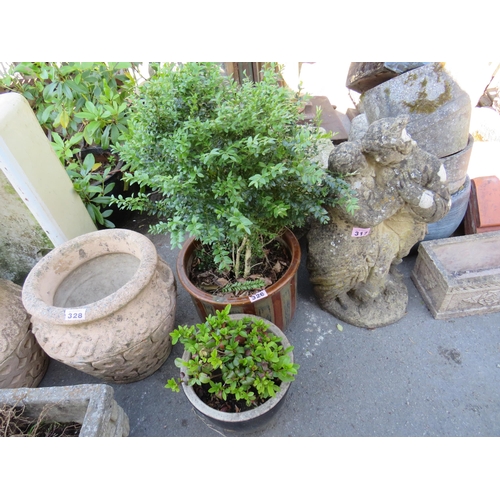 Lot 326       