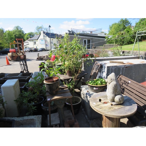 Lot 331       