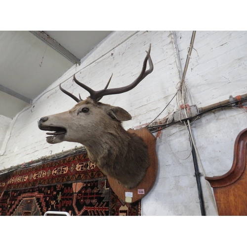 Lot 528       