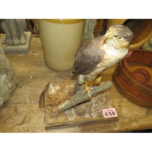 Lot 658       