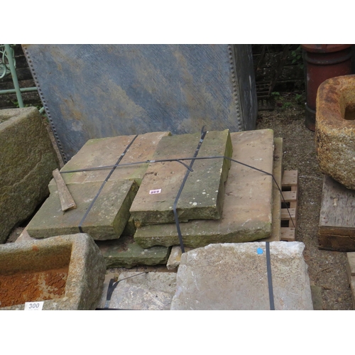 299 - Pallet cut sandstone steps