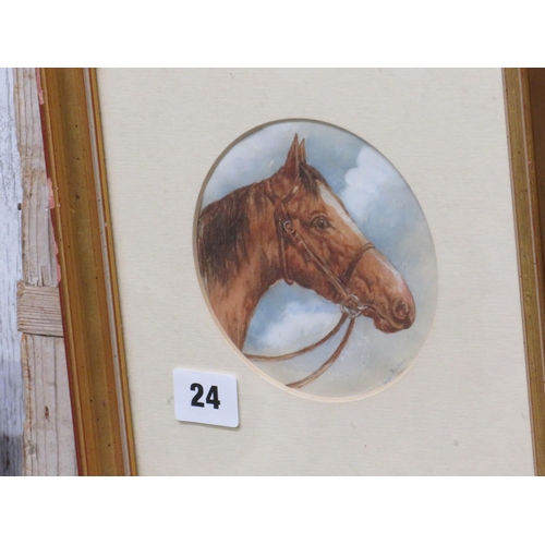 Lot 24        
