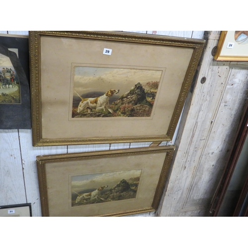 Lot 29        