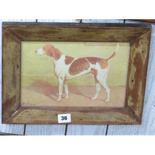 Lot 36        