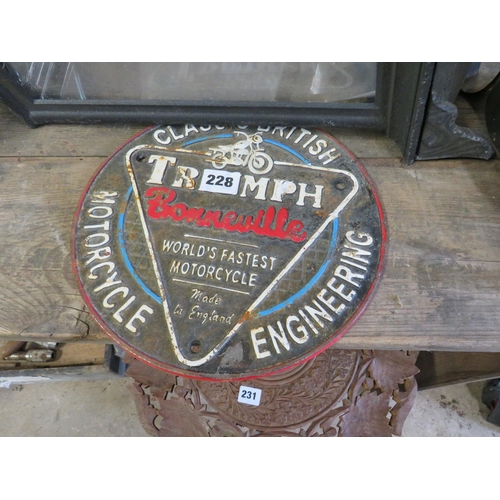 228 - Triumph sign 9.5