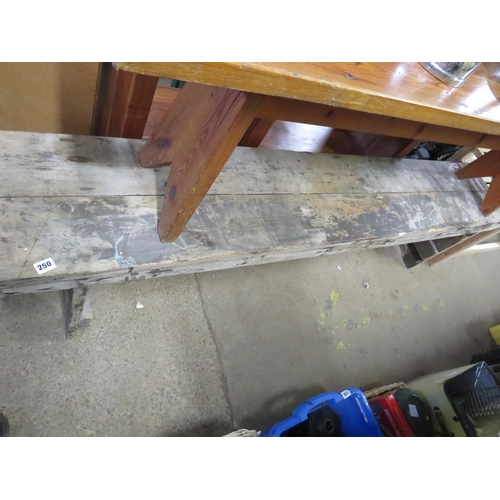 Lot 250       