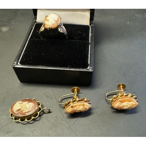 Lot 291       