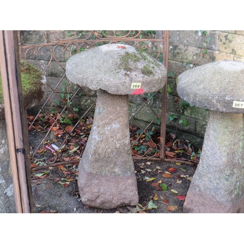 268 - Granite mushroom