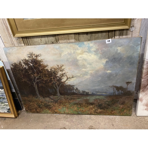 Lot 19        