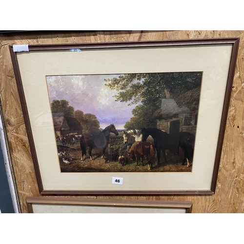 Lot 46        