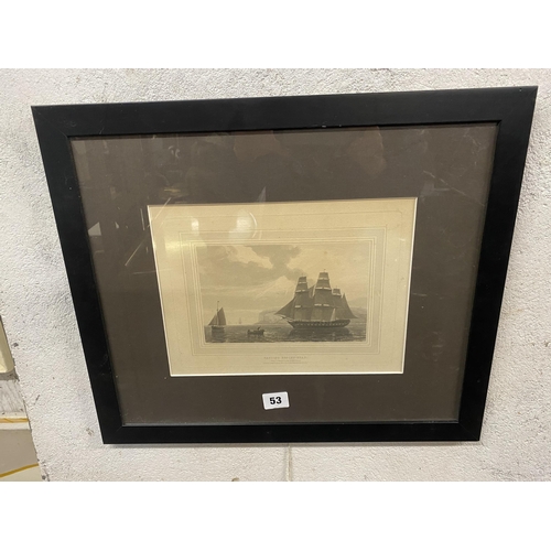Lot 53        