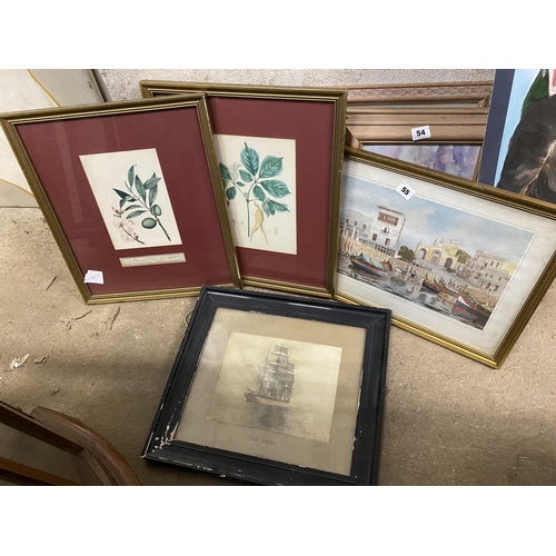 Lot 55        