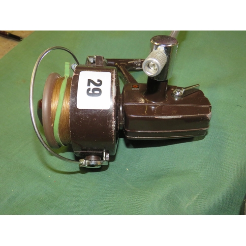 Lot 29        