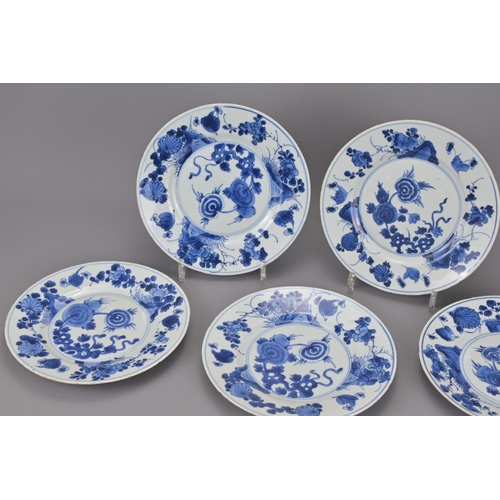 38 - A set of five chinese 18th century blue and white porcelain plates. diameter approx. 21cm (5)