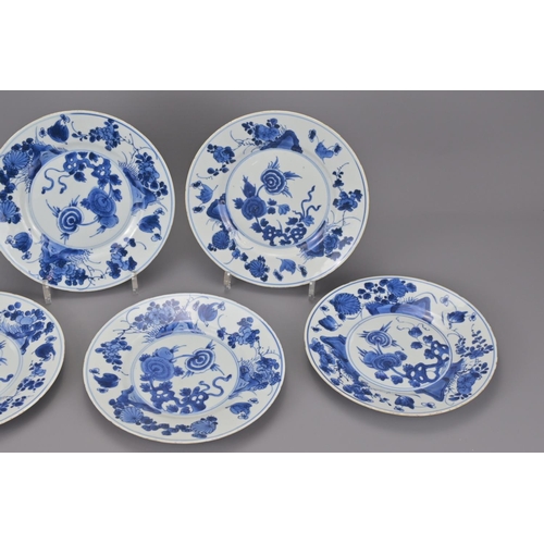 38 - A set of five chinese 18th century blue and white porcelain plates. diameter approx. 21cm (5)