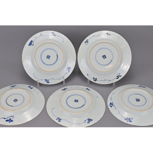 38 - A set of five chinese 18th century blue and white porcelain plates. diameter approx. 21cm (5)