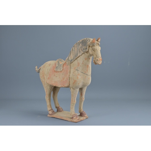 71 - A chinese tang style painted pottery figure of  a horse. height approx. 34cm