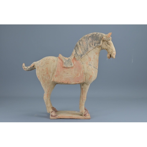 71 - A chinese tang style painted pottery figure of  a horse. height approx. 34cm