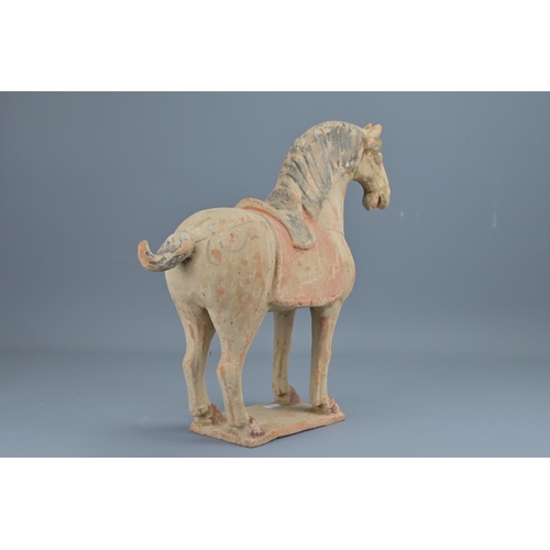 71 - A chinese tang style painted pottery figure of  a horse. height approx. 34cm