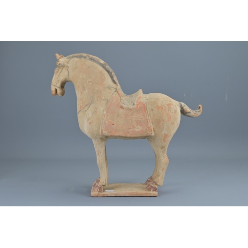 71 - A chinese tang style painted pottery figure of  a horse. height approx. 34cm