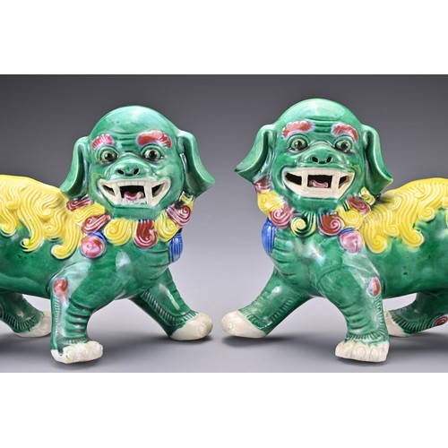 70 - A pair of vintage Chinese polychrome ceramic lions. Together with a pair of vintage Chinese plique-a... 