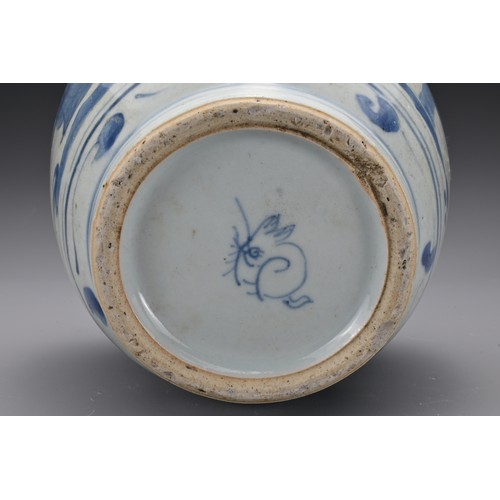 34 - A Chinese 17th Century / late Ming Dynasty blue and white porcelain jar. The jar decorated in underg... 