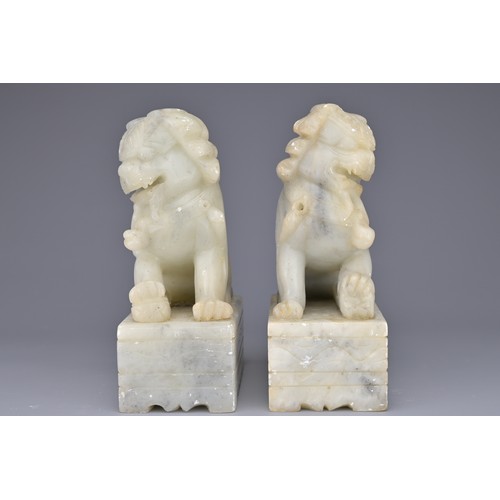 38 - PAIR OF CHINESE SOAPSTONE LION DOGS, 20TH CENTURY. Each on rectangular pedestals. 13cm height. (2)