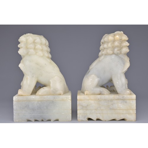 38 - PAIR OF CHINESE SOAPSTONE LION DOGS, 20TH CENTURY. Each on rectangular pedestals. 13cm height. (2)