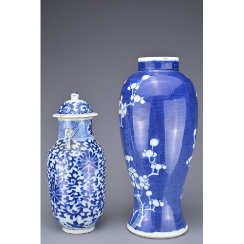 46 - TWO CHINESE BLUE AND WHITE PORCELAIN VASES, 19TH CENTURY. To include a prunus decorated vase with do... 