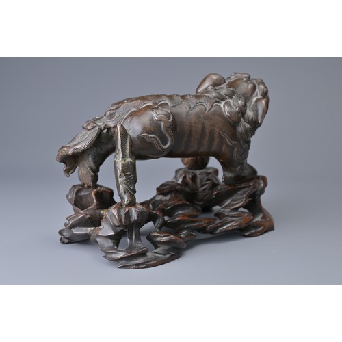 25 - A CHINESE BRONZE MODEL OF DOG OF FO, 18/19TH C. ON WOODEN STAND. The figure heavily cast standing on... 