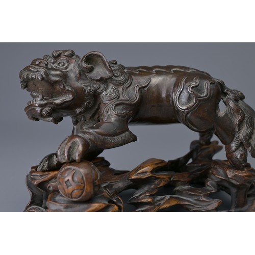 25 - A CHINESE BRONZE MODEL OF DOG OF FO, 18/19TH C. ON WOODEN STAND. The figure heavily cast standing on... 