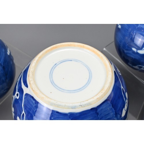 20 - FOUR CHINESE BLUE AND WHITE PORCELAIN PRUNUS JARS, 19/20TH CENTURY. Of varying sizes. 9.5cm - 16cm t... 